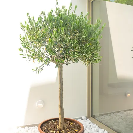 Blue Breeze Vila Nikiana